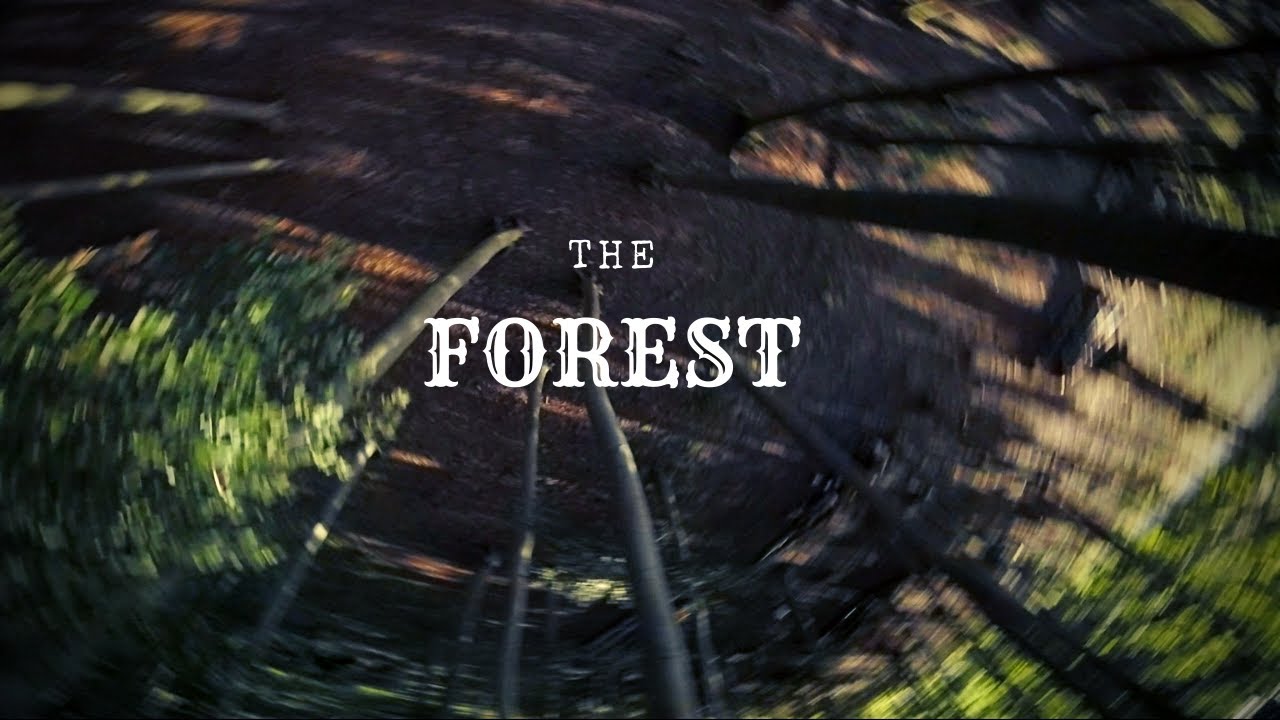 The Forest  | FPV FREESTYLE