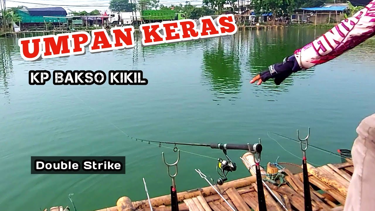 Edisi Umpan Keras - kp bakso kikil