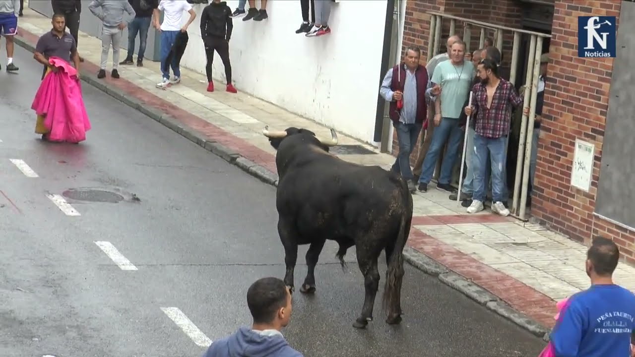 Primer encierro Fiestas Fuenlabrada 2022