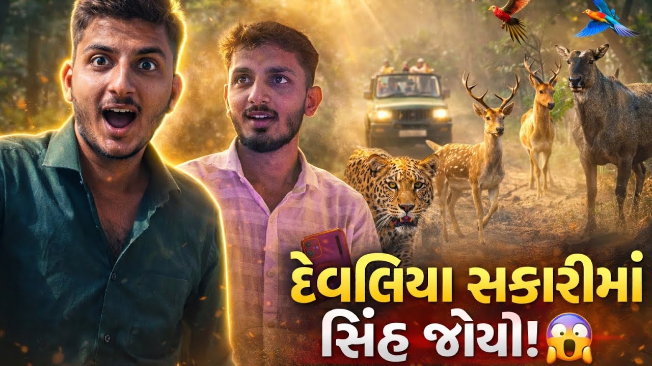 ખૂલો સિંહ 🦁 જોય 😳😳