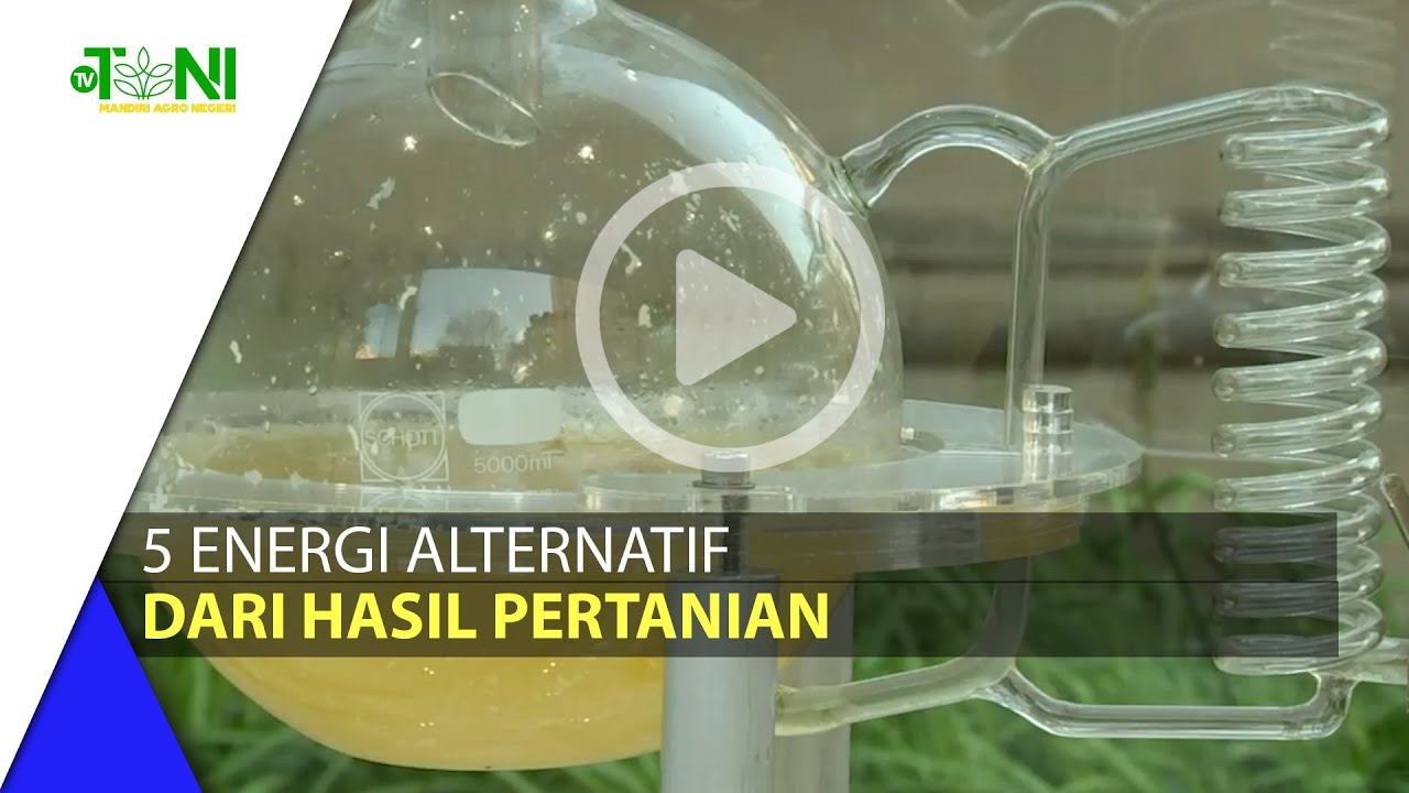 5 Energi Alternatif Dari Hasil Pertanian