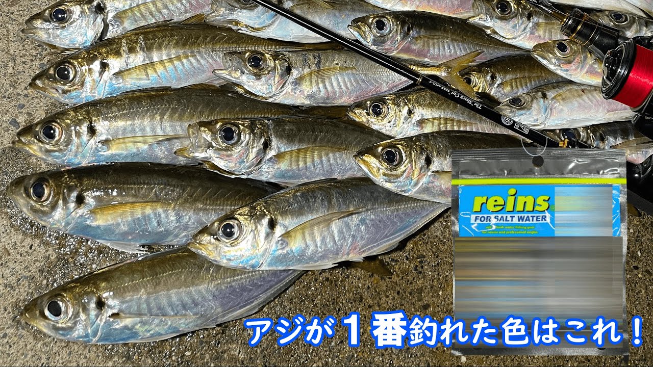 【初心者必見】初心者は知らない、上級者が愛用してる超釣れるワームのカラー紹介＆検証！