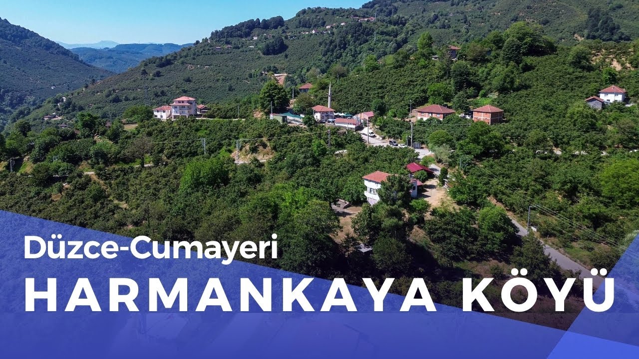 HARMANKAYA  KÖYÜ CUMAYERİ DÜZCE  DRONE GÖRÜNTÜLERİ