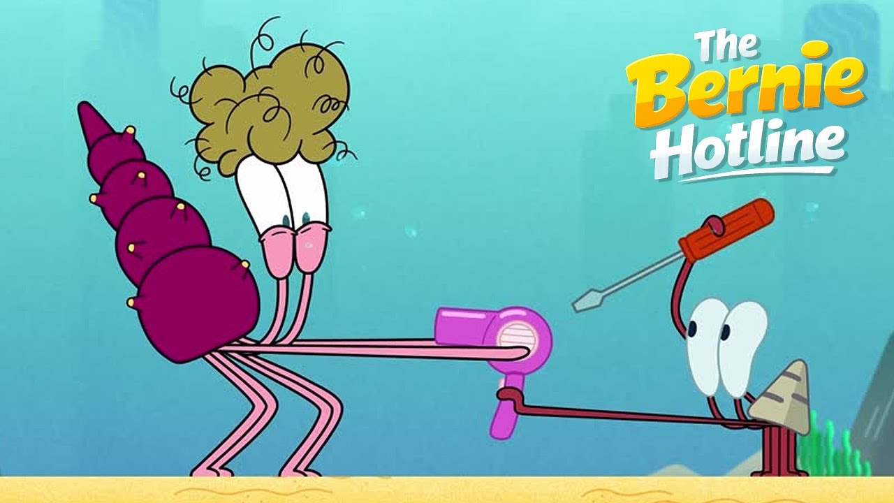 The Bernie Hotline (S01E24) Zig & Sharko - The Adventures of Bernie | Cartoons for Kids