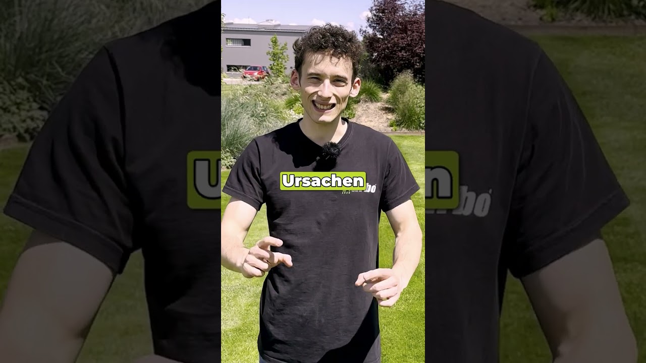 Klee im Rasen ist ein sch* 🤬 #rasen #klee #garten #turbogr&uuml;n