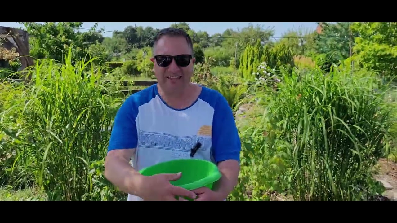 Den Sommer im Glas. Beerenmix für den Winter 