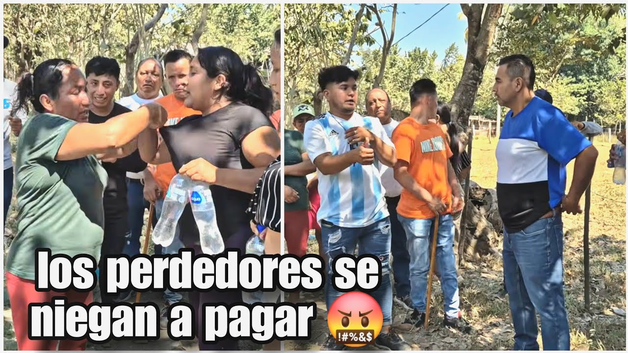 Gato empvtad* llegó a pel4rlw la cara a tua/perdierón y no pagarón 