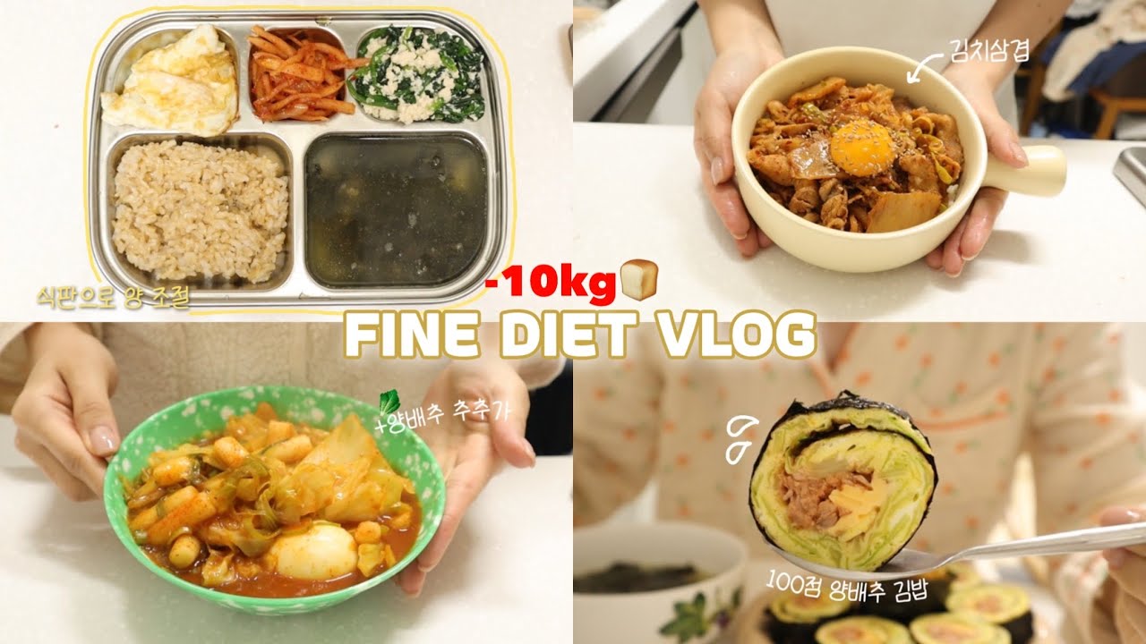 봄 맞이🌸가볍게 시작해보는 관리!🧀누구나 따라할 수 있는 꿀맛탱 식단 브이로그 | 양파치즈토스트/양배추김밥/김치삼겹덮밥/오리고기샐러드/곤약밥레시피 | 집밥 다이어트 | 간헐적단식