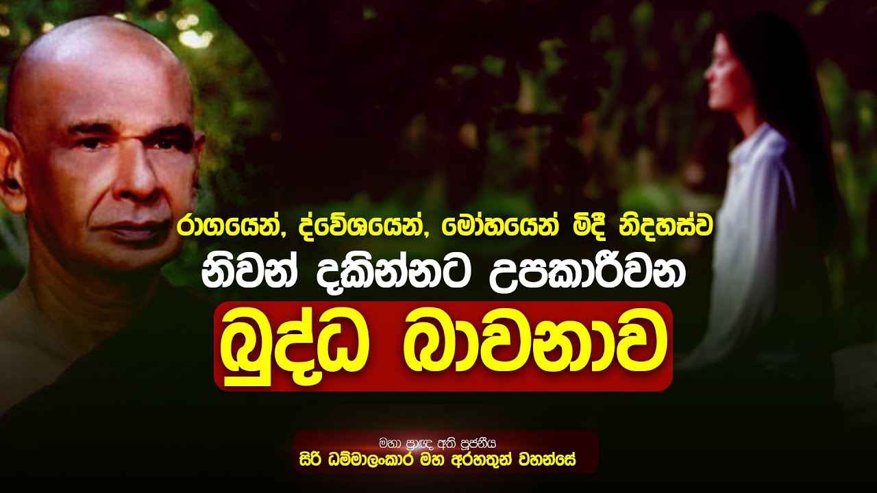 රාගයෙන් ද්වේශයෙන් මෝහයෙන් මිදී නිදහස්ව නිවන් දකින්නට උපකාරී වන බුද්ධ බාවනාව | Damtharana