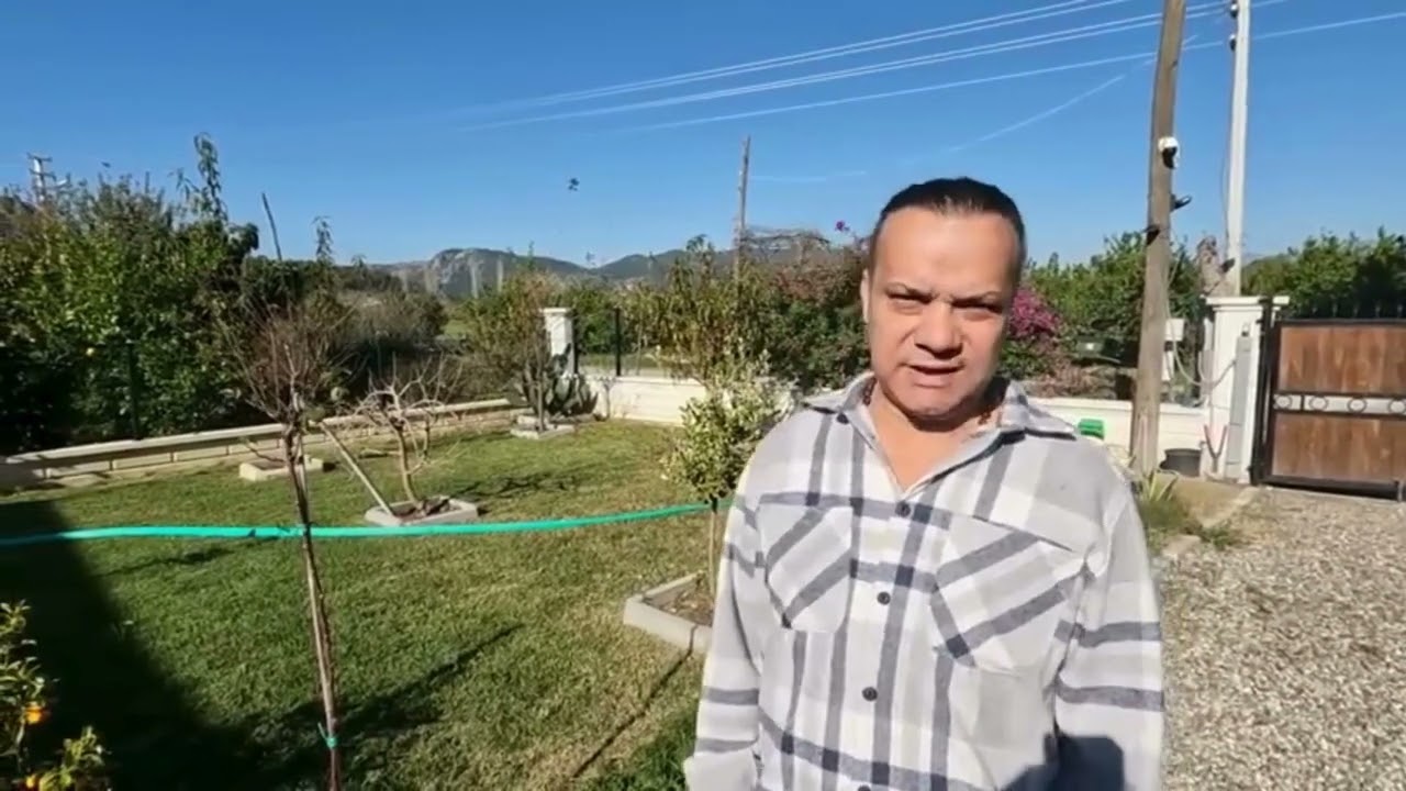 Zoysia çim müşteri geri dönüşleri