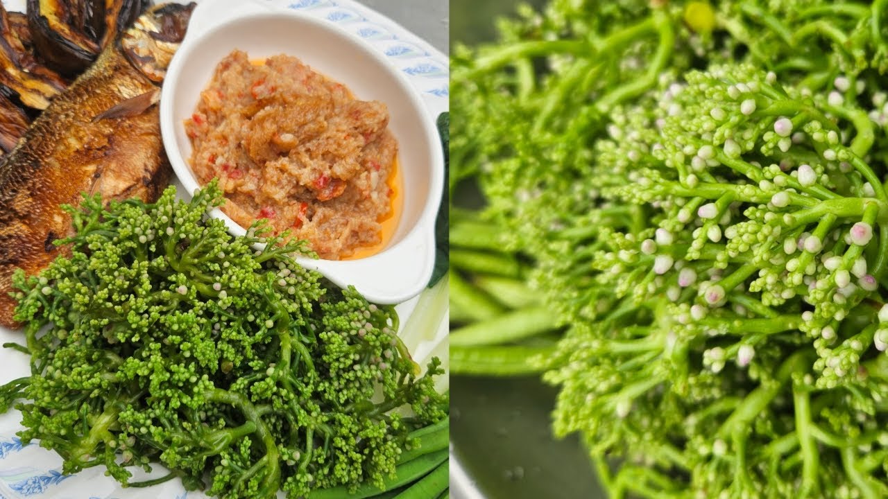Buro and alugbati flower
