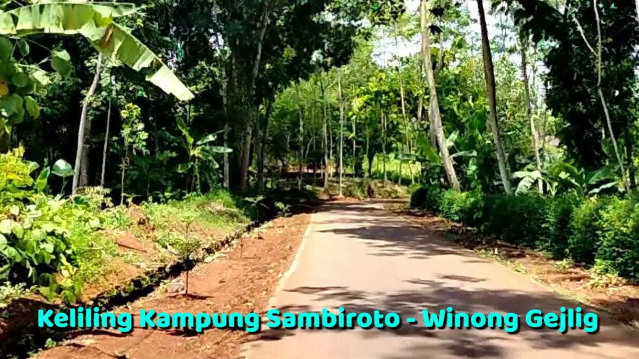 KELILING KAMPUNG SAMBIROTO - GEJLIG KAJEN