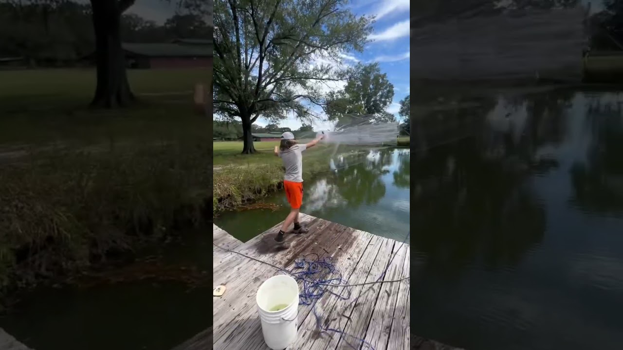 Feeding Ducks Minnows! #shorts #viral #fypyoutube #fish #fishing #castnet