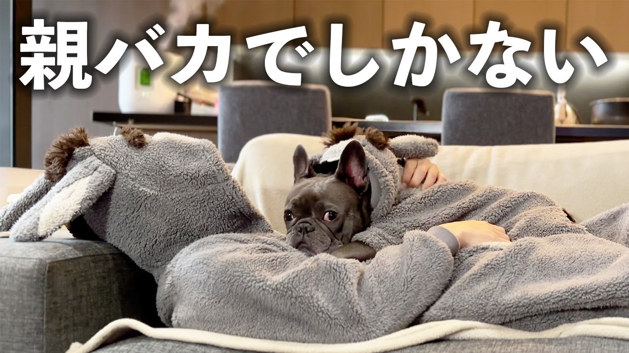 【親バカの暮らし】共感？あきれられる？【新企画発表】