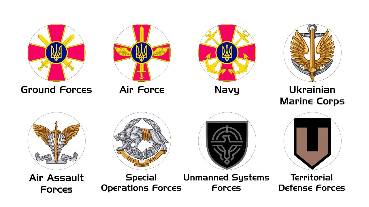 Every Ukrainian Military Branch Explained