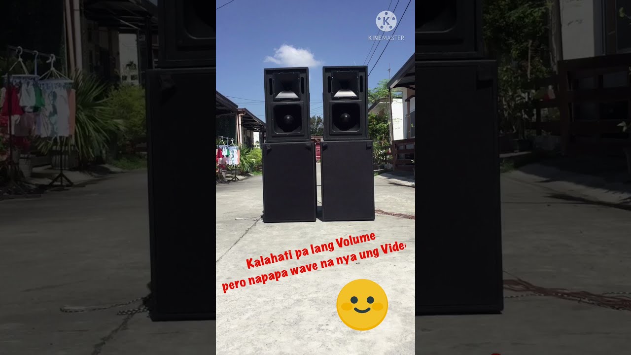 ACE LX20 | Loaded Tsunami Live Storm Subscoop 15&rdquo; 700watts