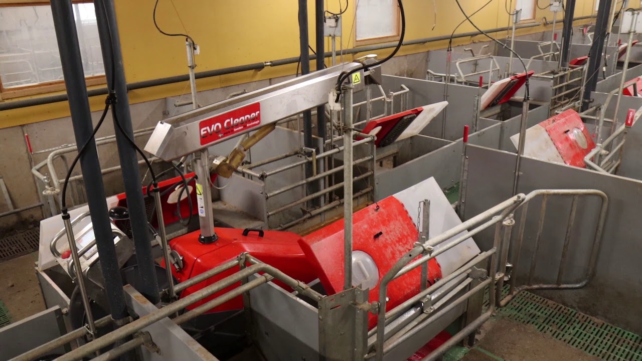Pressure Washing With our EVO Cleaner Robot on a Pig Farm