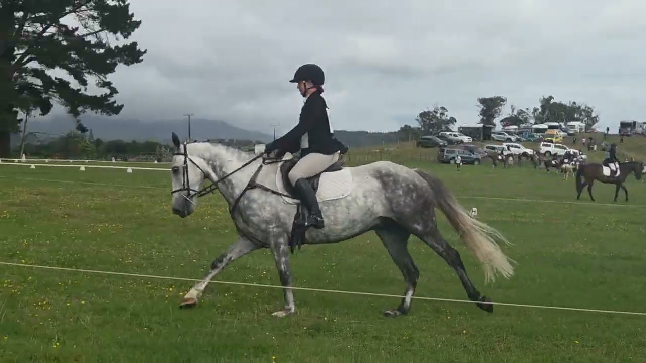 Obie Wan-Kanobe Dressage Hamilton ODE 2026