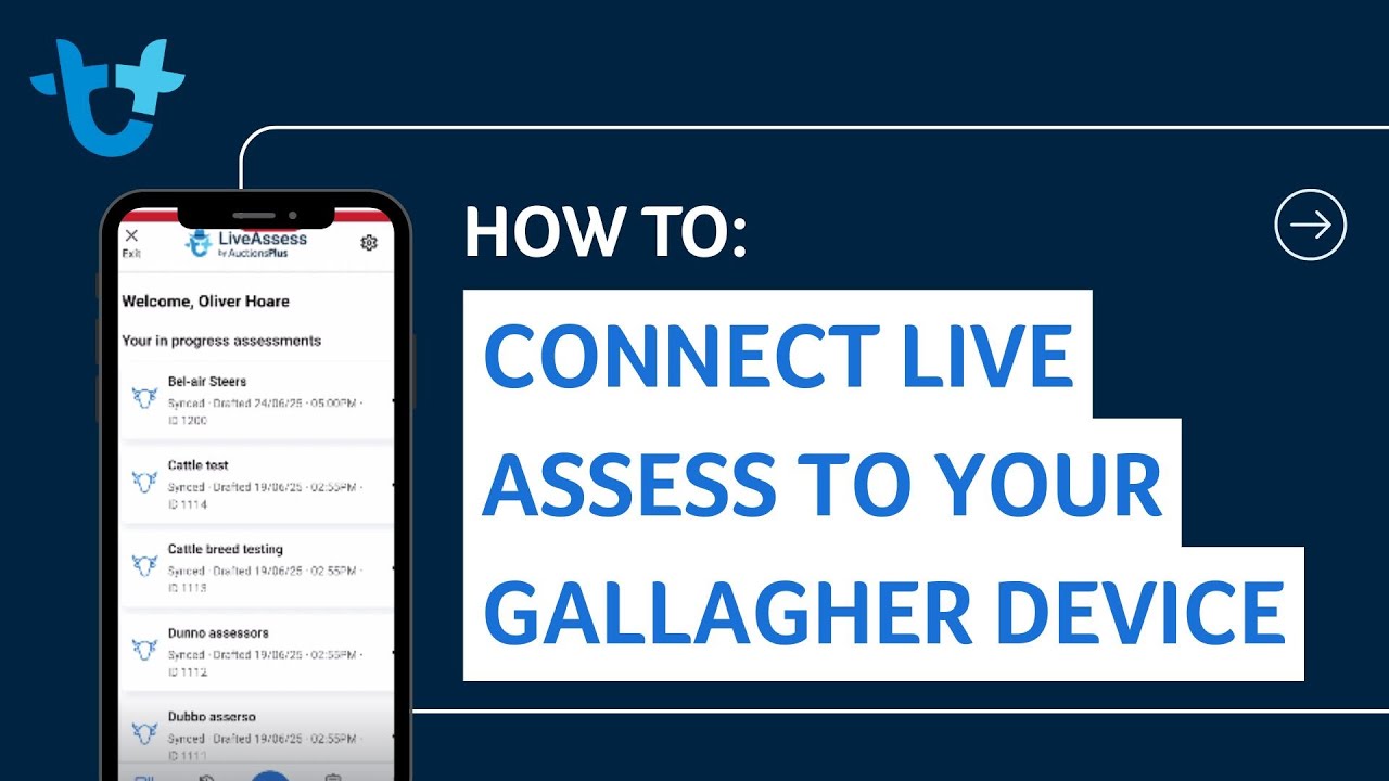AuctionsPlus | How To Connect Live Assess to Your Gallagher Device