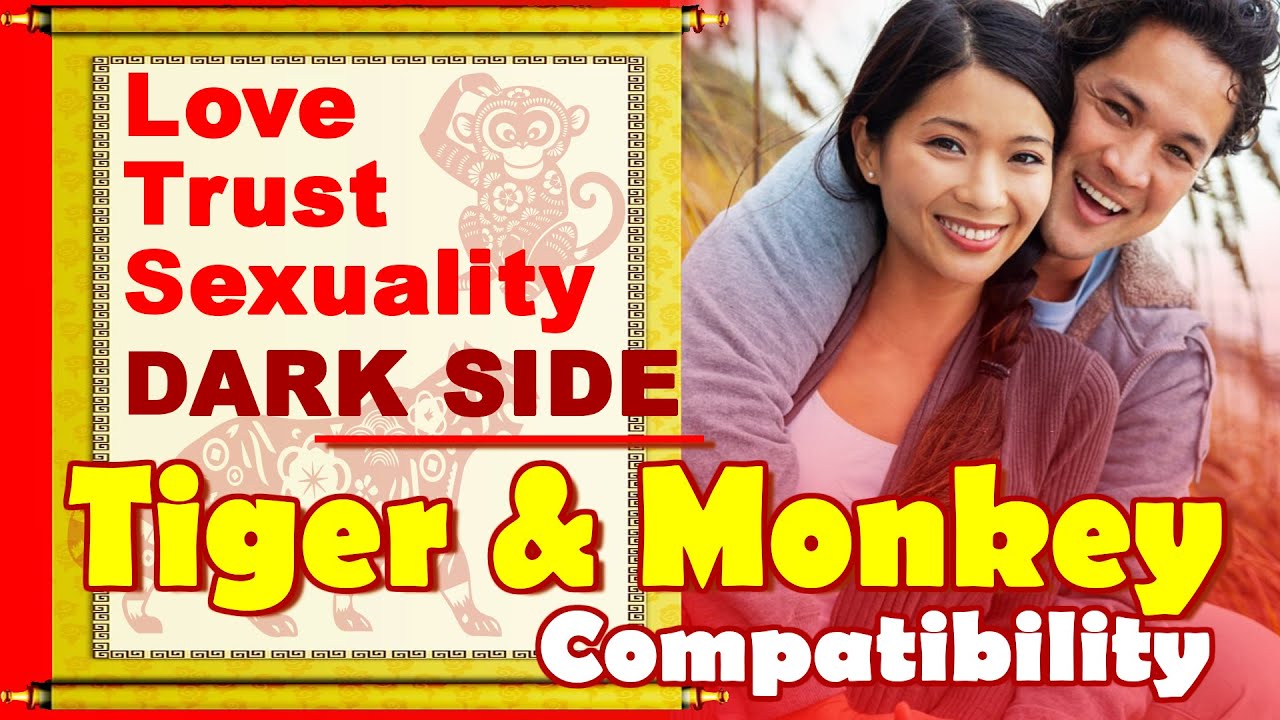 Tiger and Monkey Compatibility in Love, Life, Trust, Intimacy | Tiger & Monkey Chinese Zodiac Compat