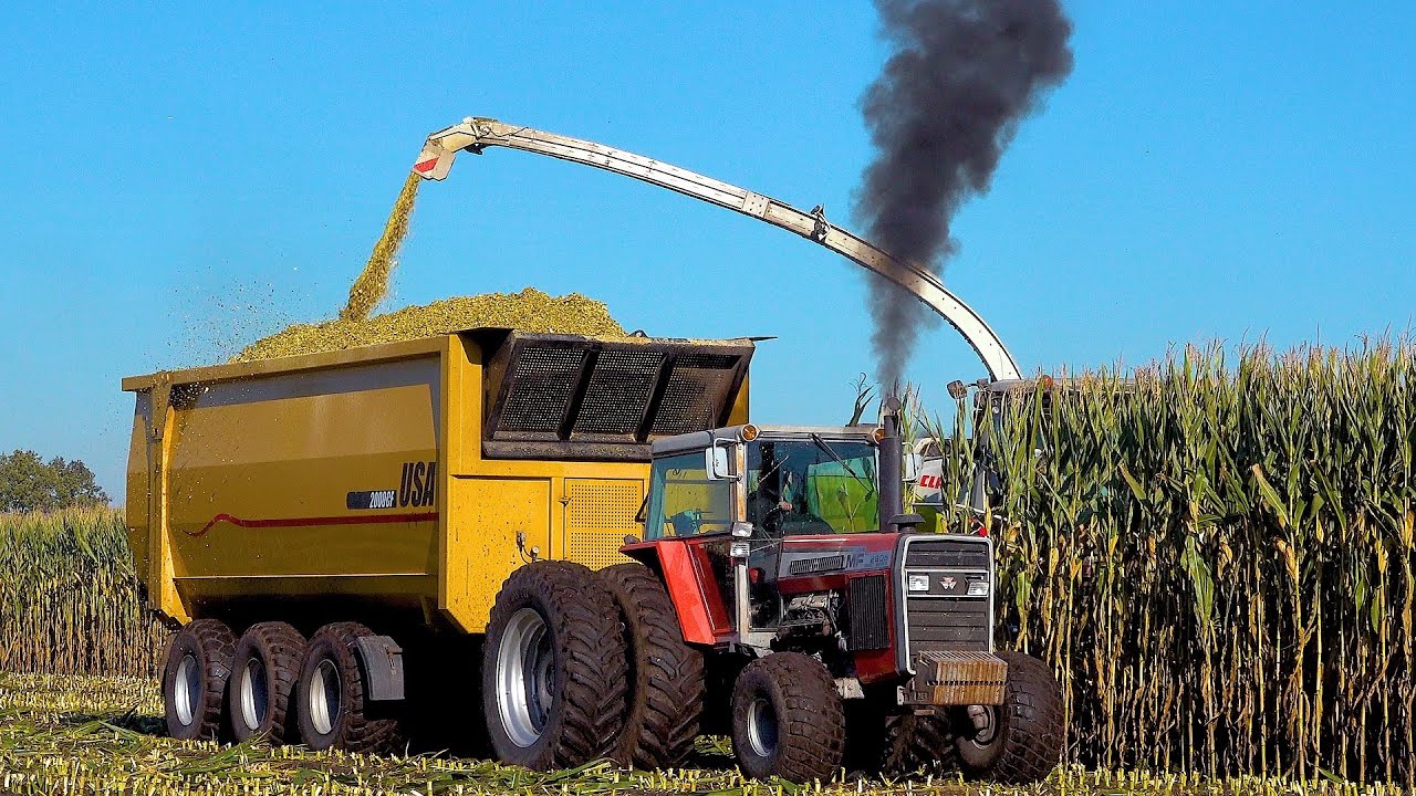 Spektakel bij van Bakel 2021 / The FULL Movie / Mais 2021 / Maishäckseln / USA Equipment /MF 2805 V8