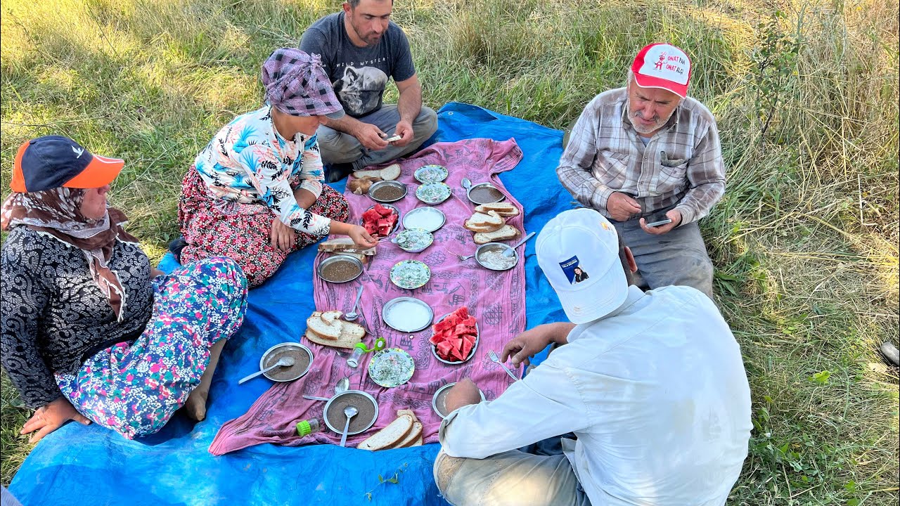 Sarımsak tarlasında öğlen yemeği