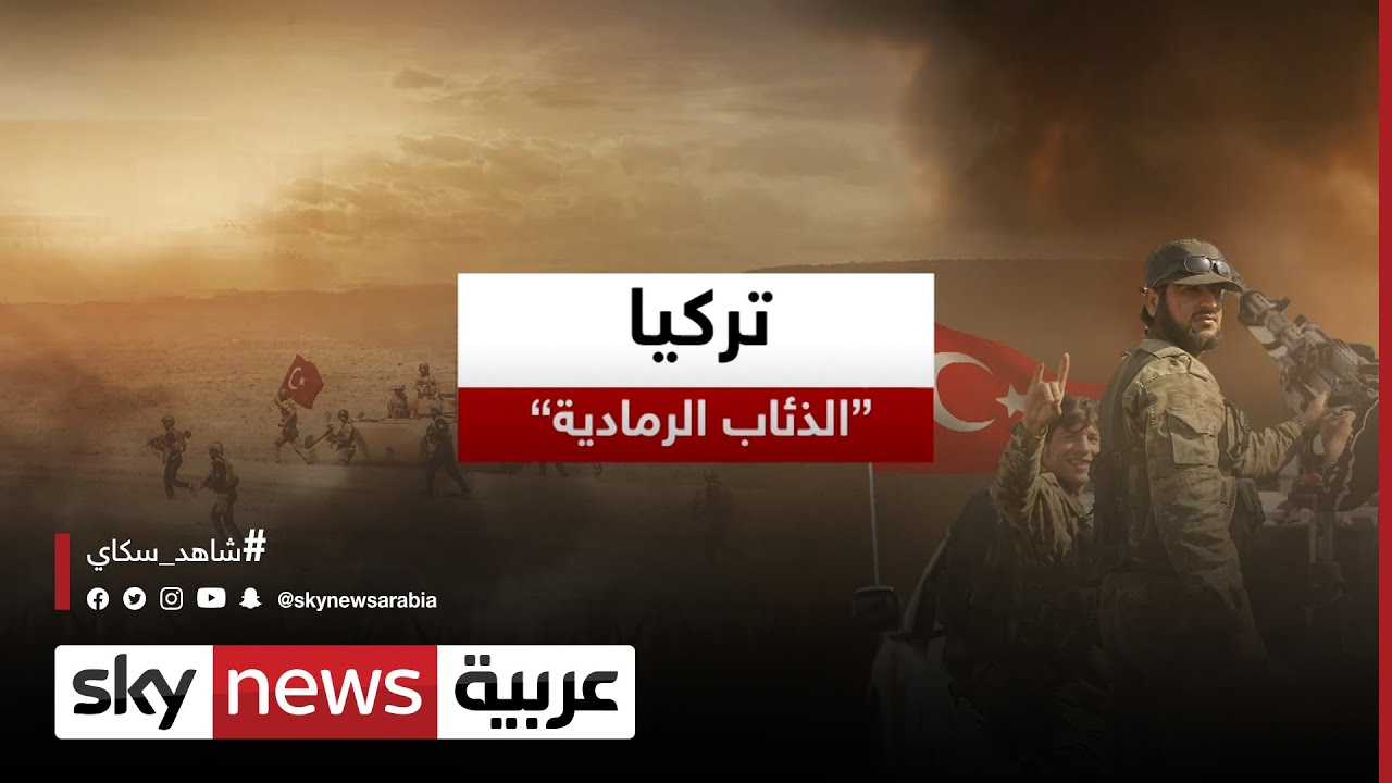جماعة الذئاب الرمادية التركية المتطرفة .. متى تأسست وما أبرز مواقفها؟