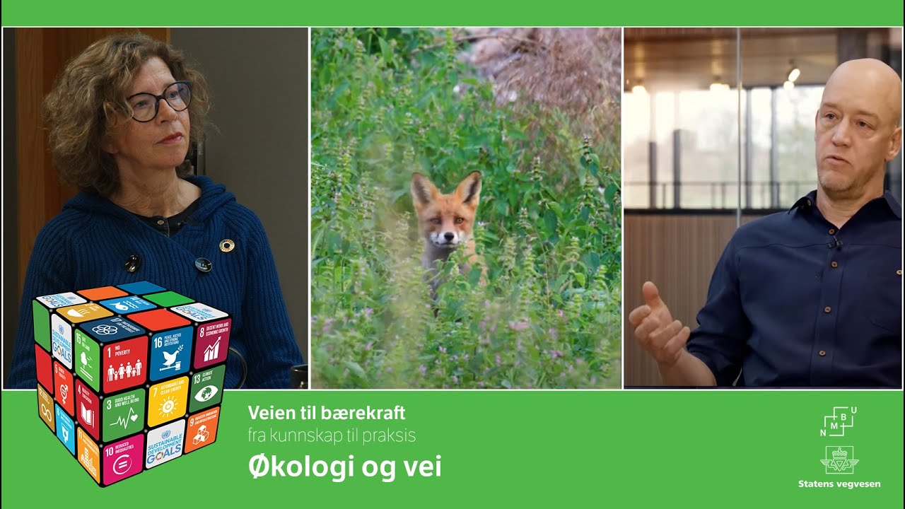 Veien til Bærekraft - Økologi og vei