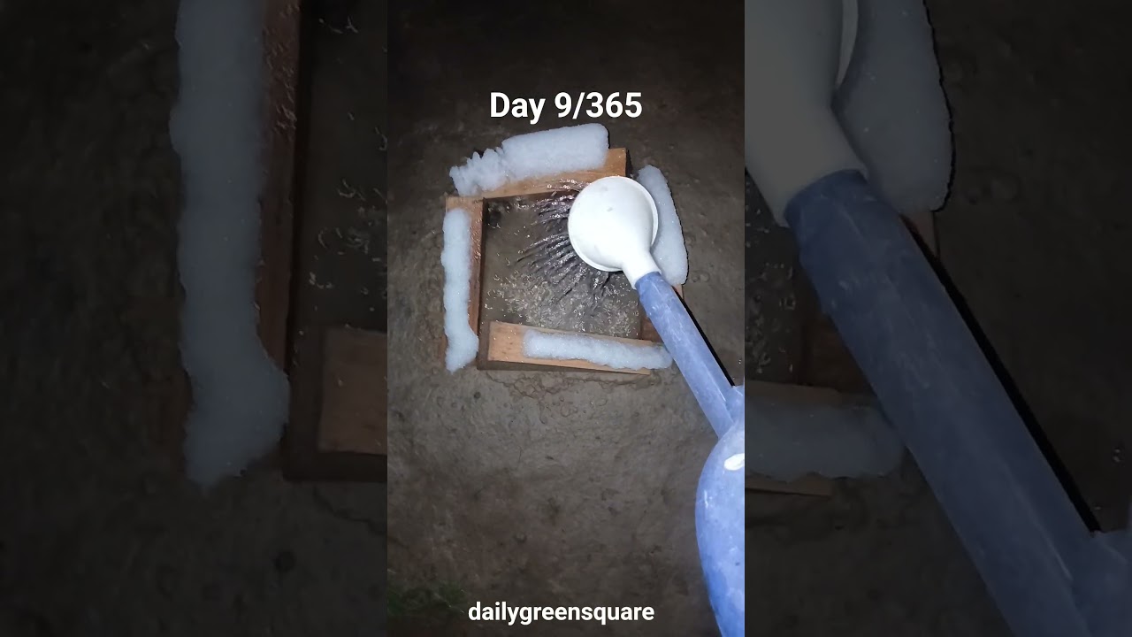 Day 8 Daily challenge 💪💧Every day I pour water into the same marked square 💧 