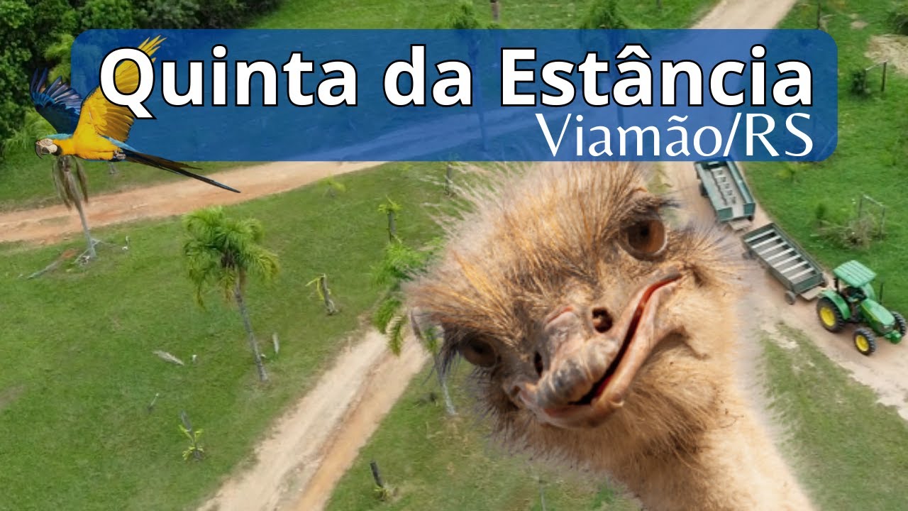 Quinta da Estância | Lazer para toda a família | Turismo RS