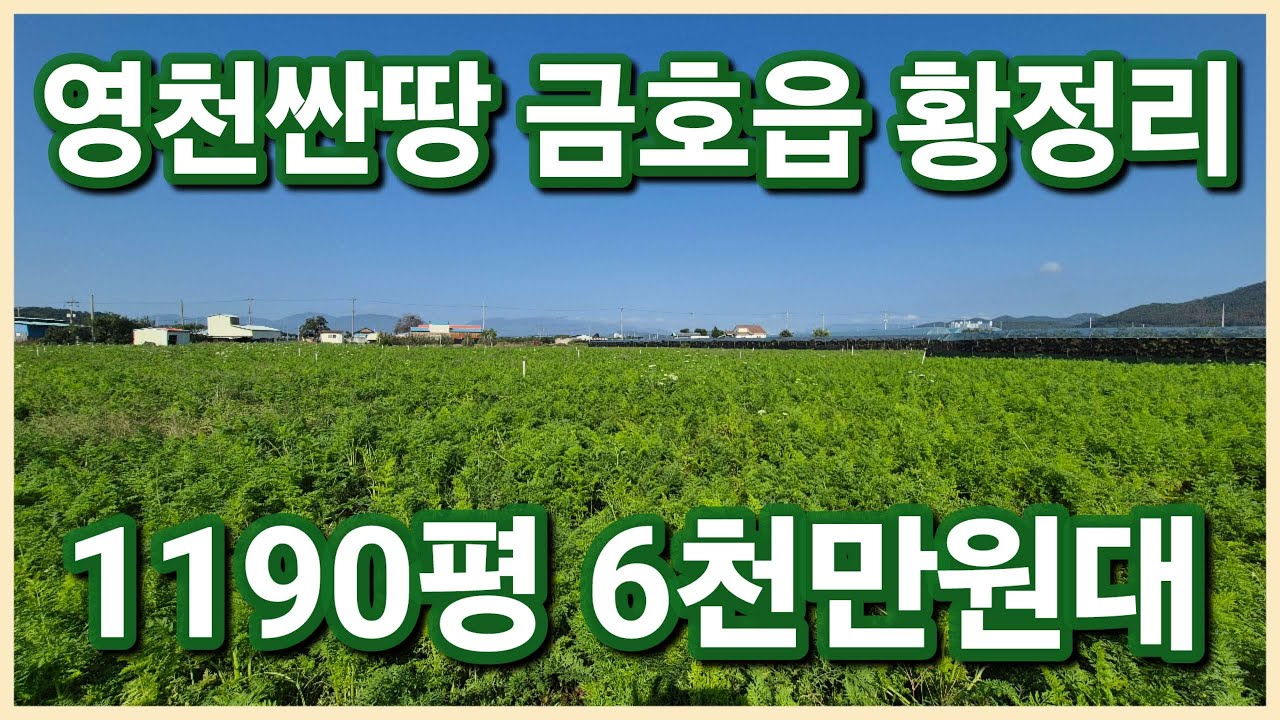 [변경]영천시 금호읍 1190평 6천만원대 초대박 영천싼땅 농지연금으로 강력추천 드리는 법원경매 진행중인 영천토지 가져가세요