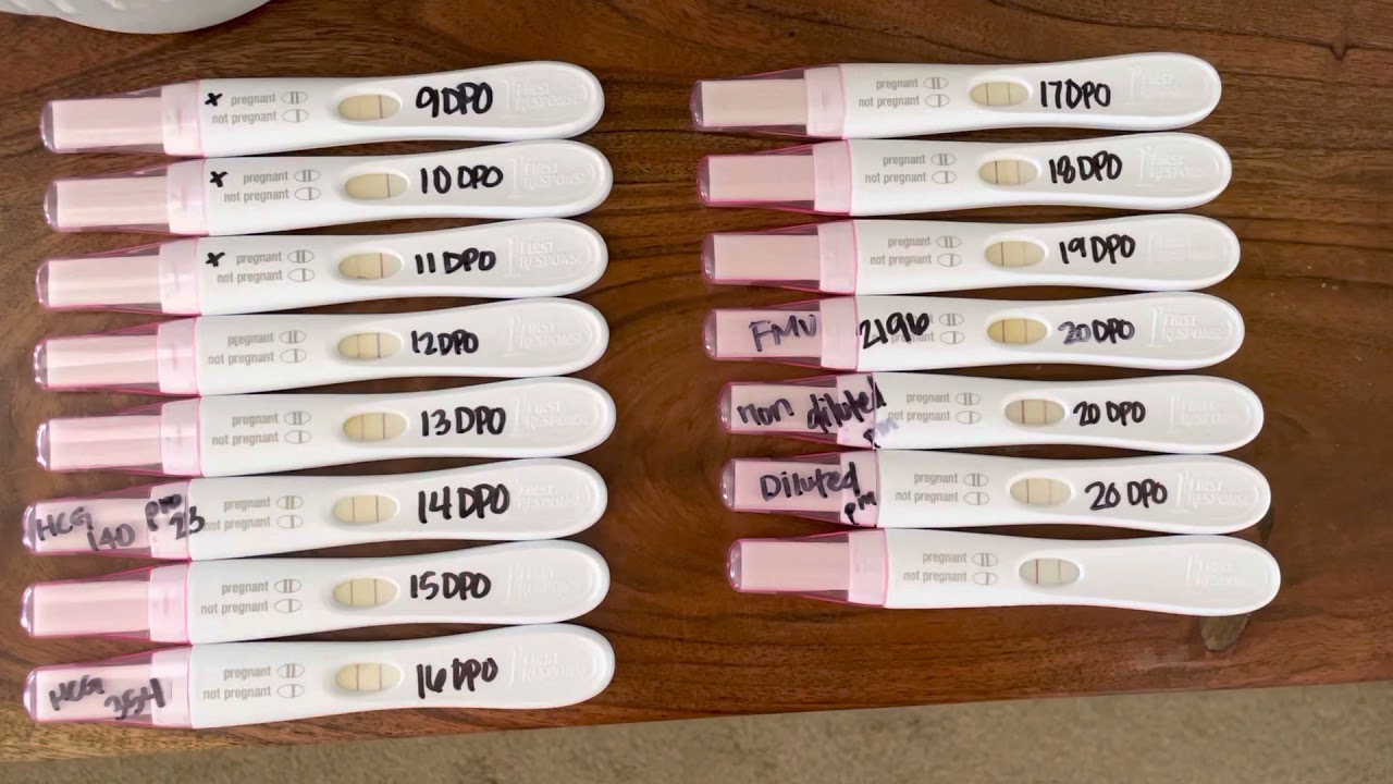 I’m Pregnant with baby #4! Line progression with HCG numbers!