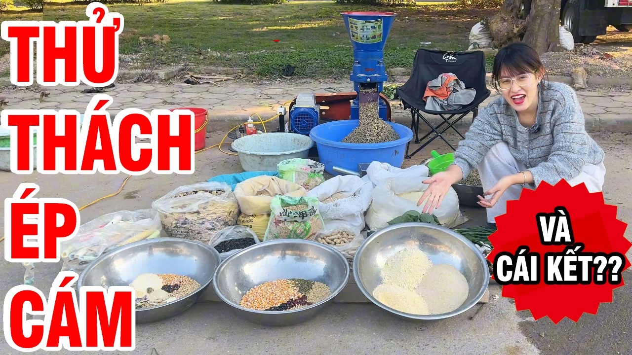 🐷🐔 Thử Thách Ép Các Loại Nguyên Liệu Với Máy Ép Cám Viên S180 Theo Yêu Cầu Của Khách Hàng!
