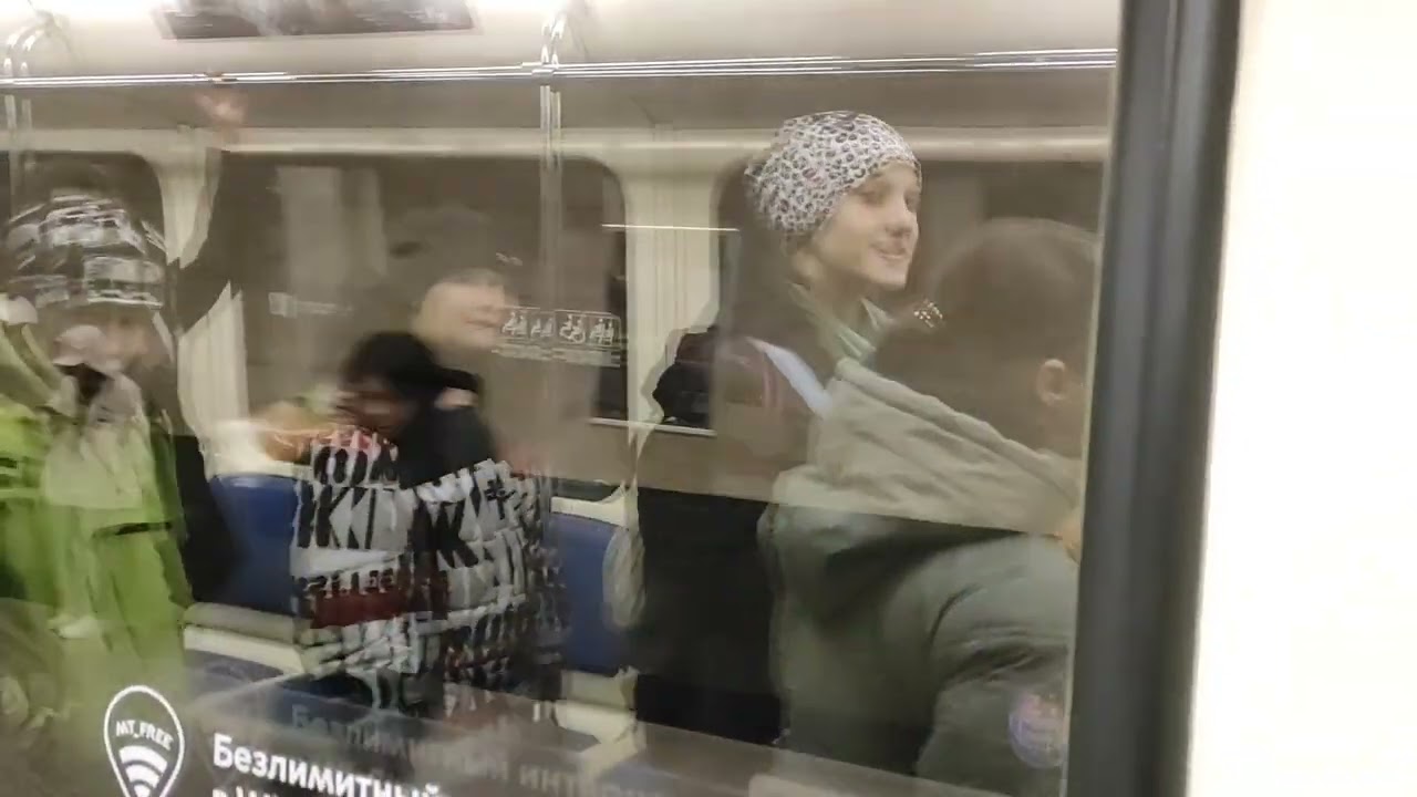 Бутовская линия Битцевский парк - Бунинская аллея + Весенняя эстакада