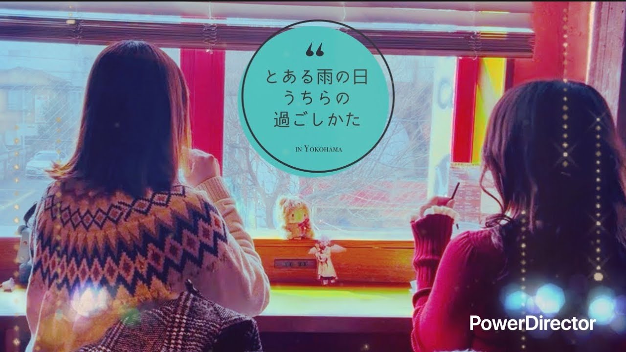 【猫カフェ】おもちちゃんとおでかけ【中華街】