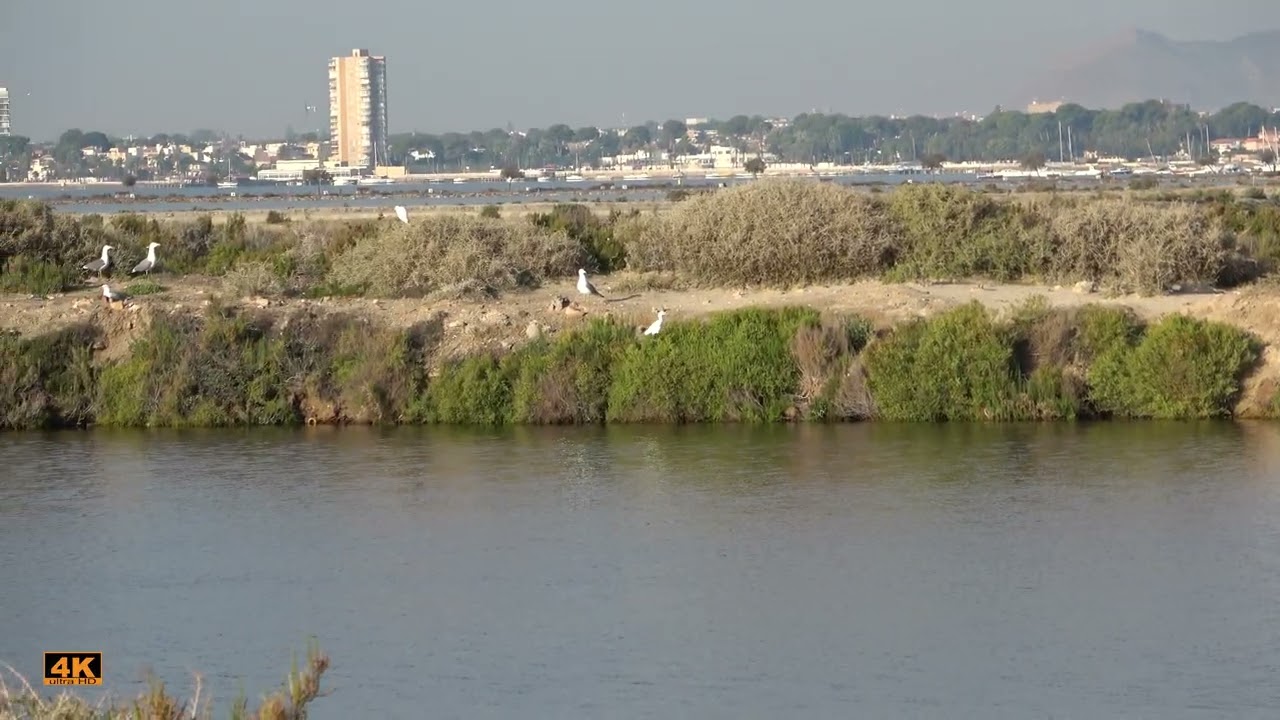San Pedro del Pinatar - Salinas