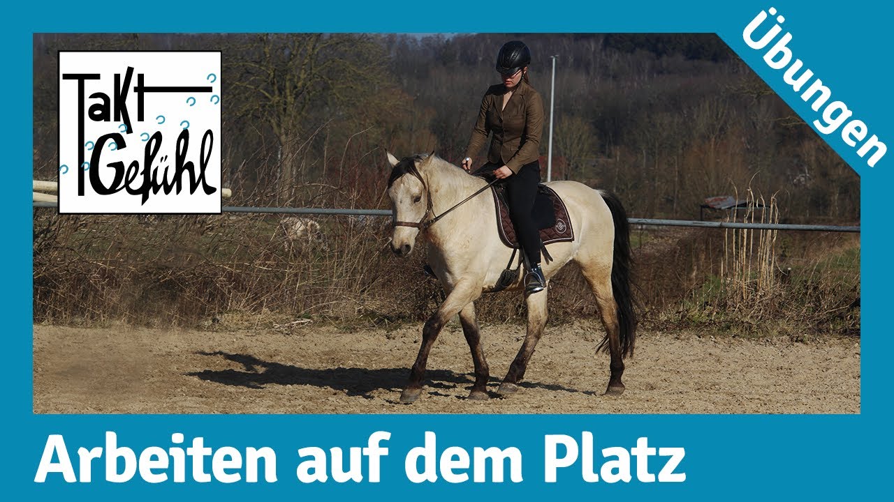 Reit&uuml;bungen ohne Equipment