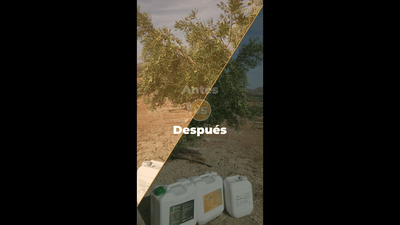 TESTIMONIOS SOBRE FERTILIZANTES GM FERT