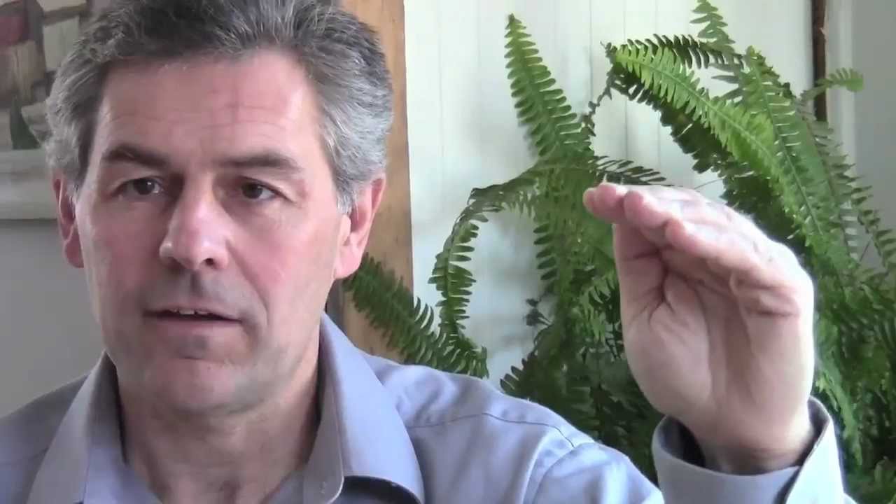 Video Advertising Ottawa Local Businesses  - Video Marketing and SEO by Local Effects Marketing