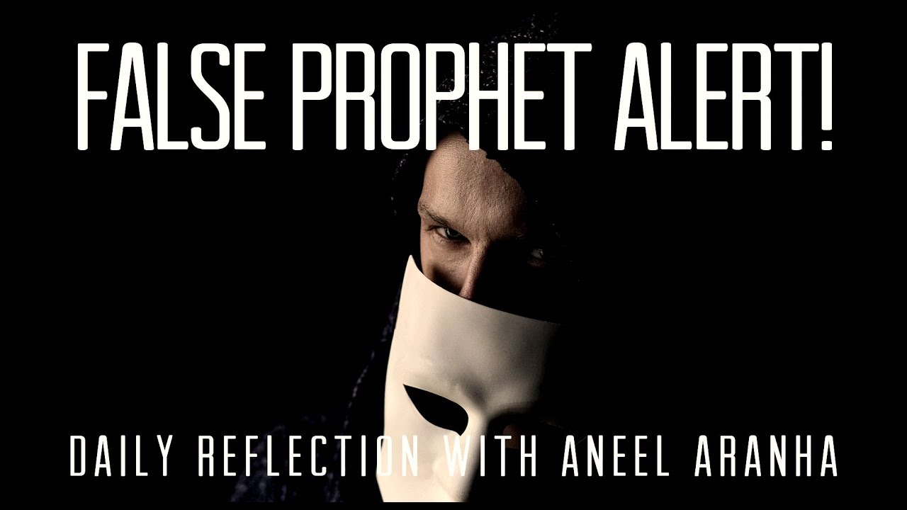 Daily Reflection With Aneel Aranha | Matthew 7:15-20 | June 26, 2019