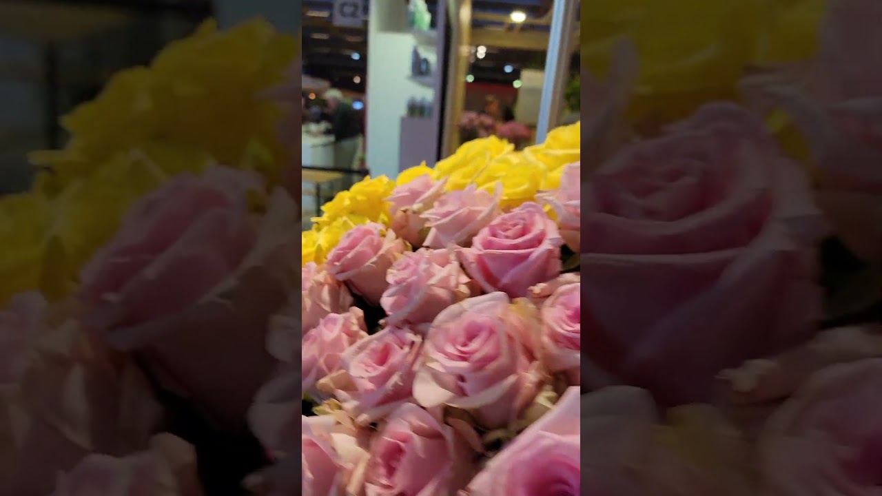 Kenyan Flowers in Display in Amsterdam