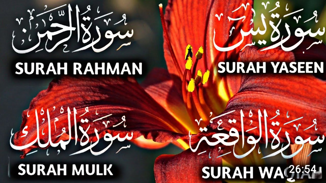 Surah Yaseen | Surah Rahman | Surah Mulk | Surah Waqiah | Beautiful Quran Recitation Ep134