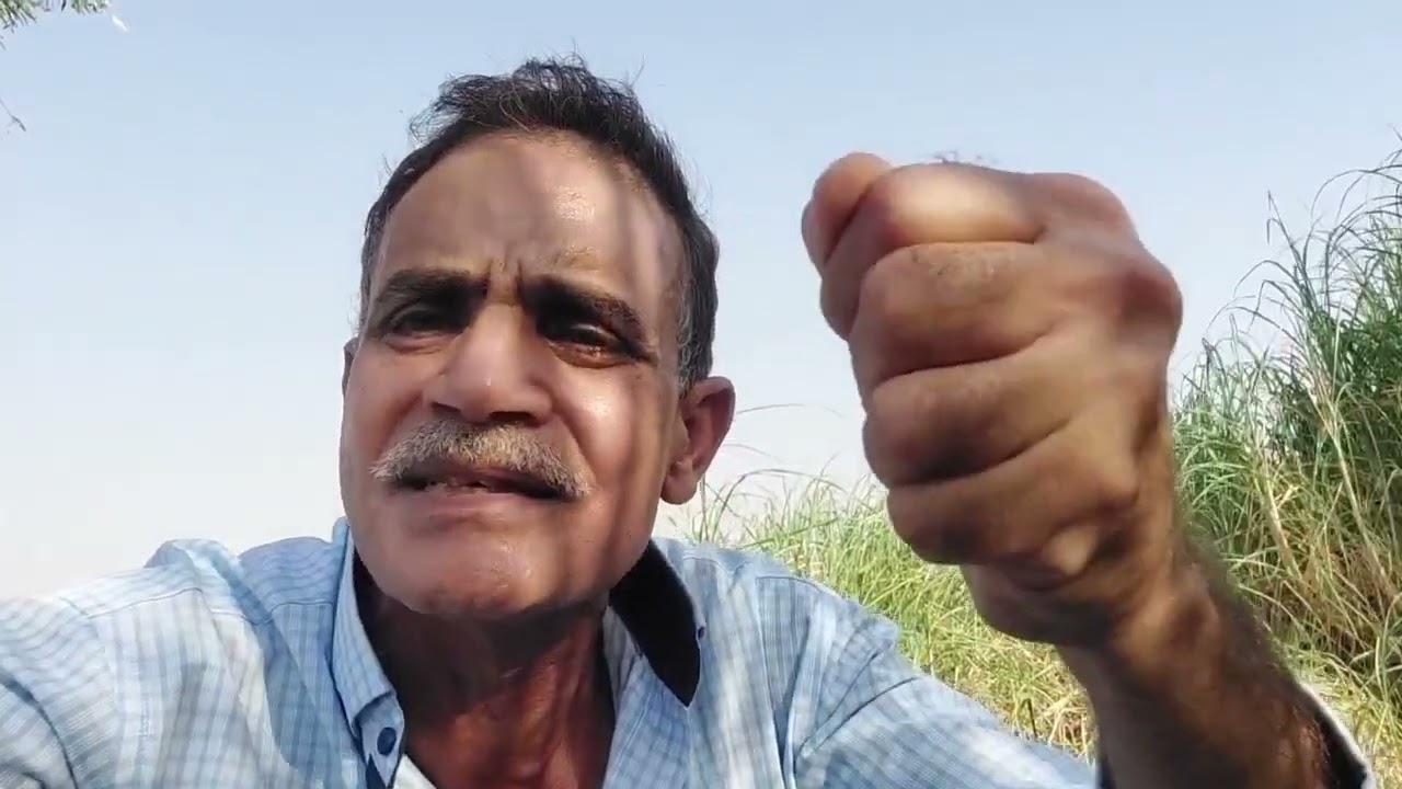 اهمية ضبط دراج الماكينه العصفوره وتقرير عن نهر النيل9/92024