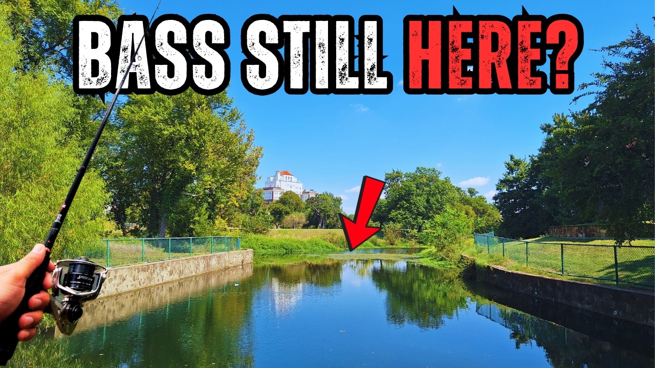 I Caught 30+ Bass Here Yesterday… Would They Still Bite Today?