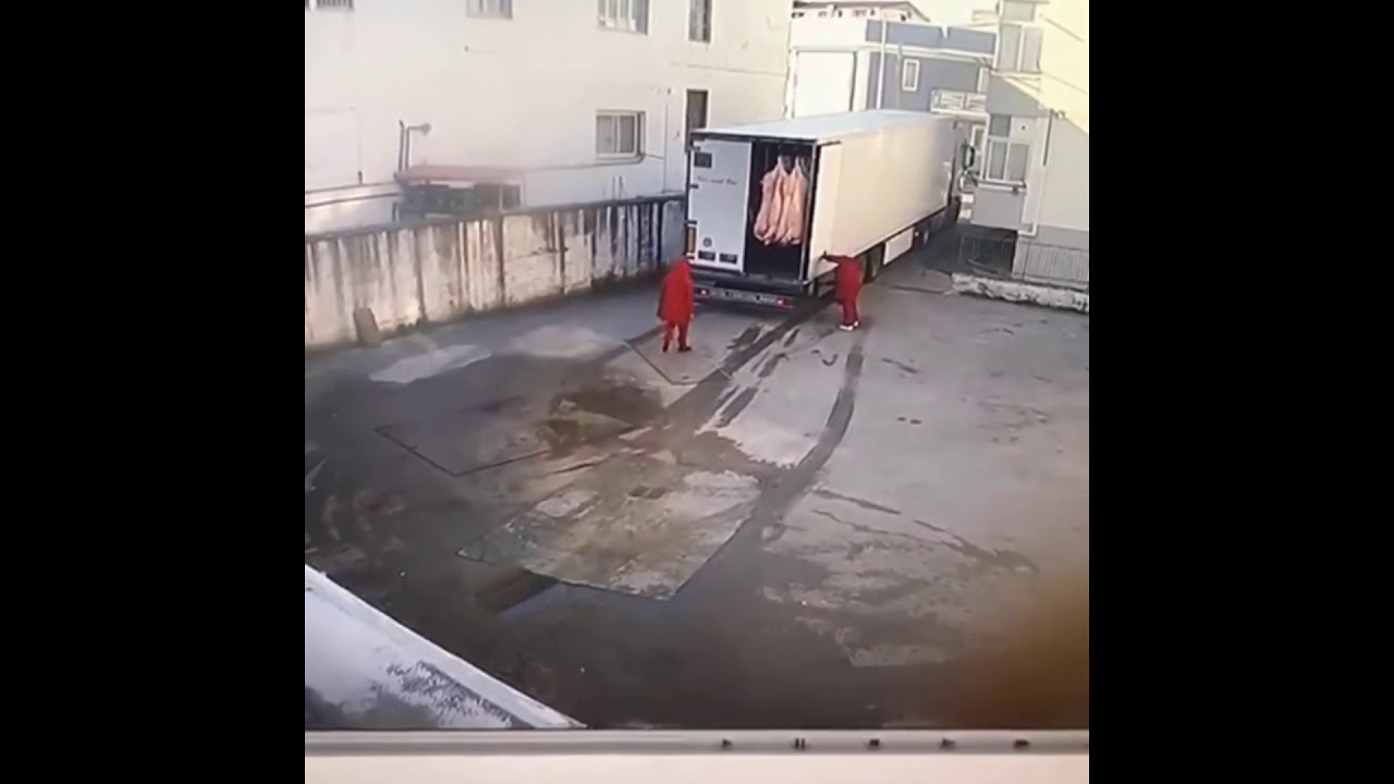 Meat truck collapses full of meat!!!