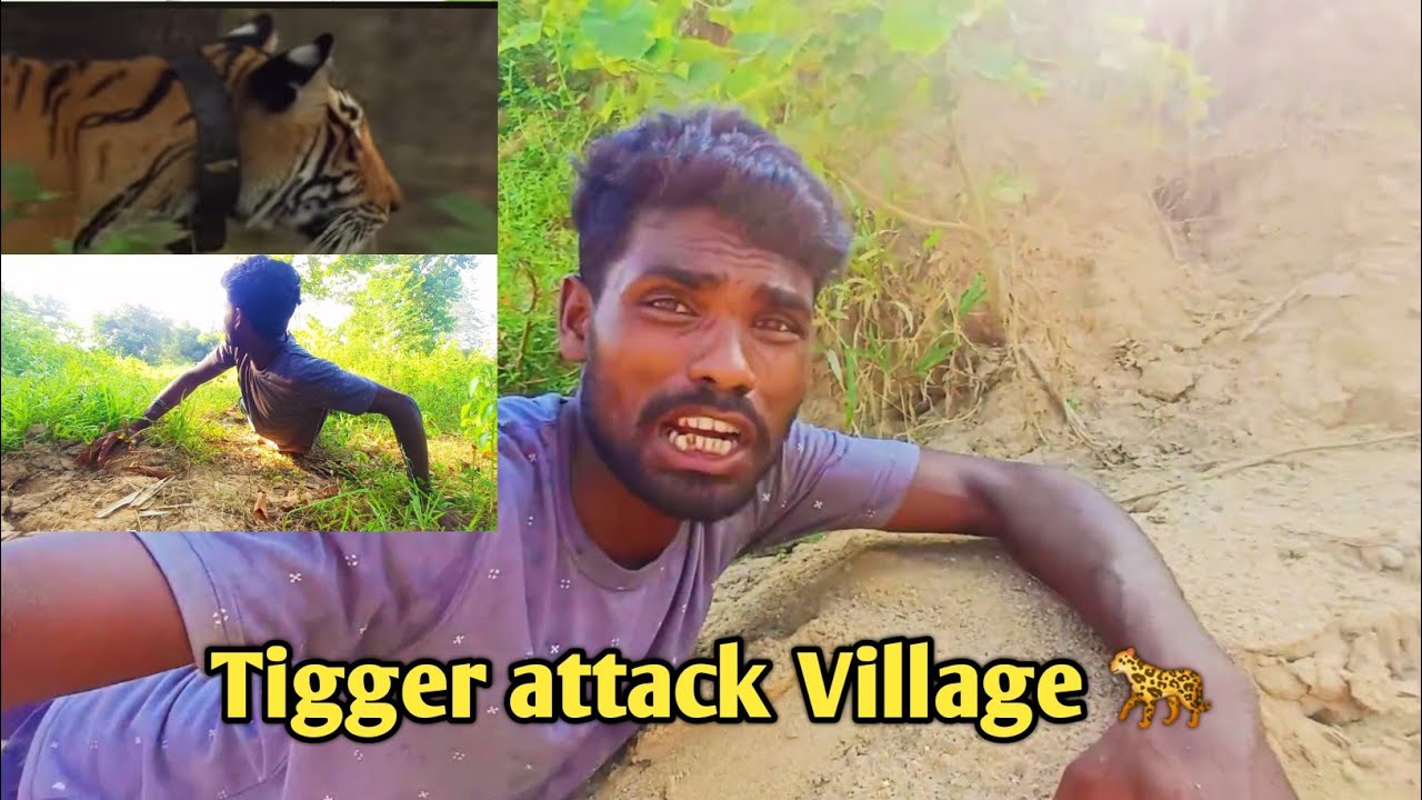 Tigger attack Village