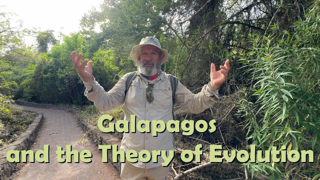 Galapagos Island Part 2 #ecuador #evolution #darwin