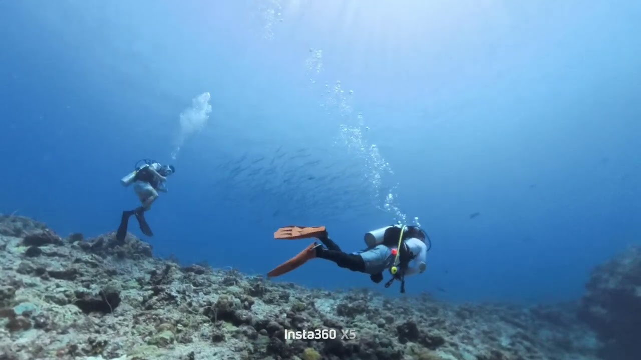 Palau 0214 blue corner