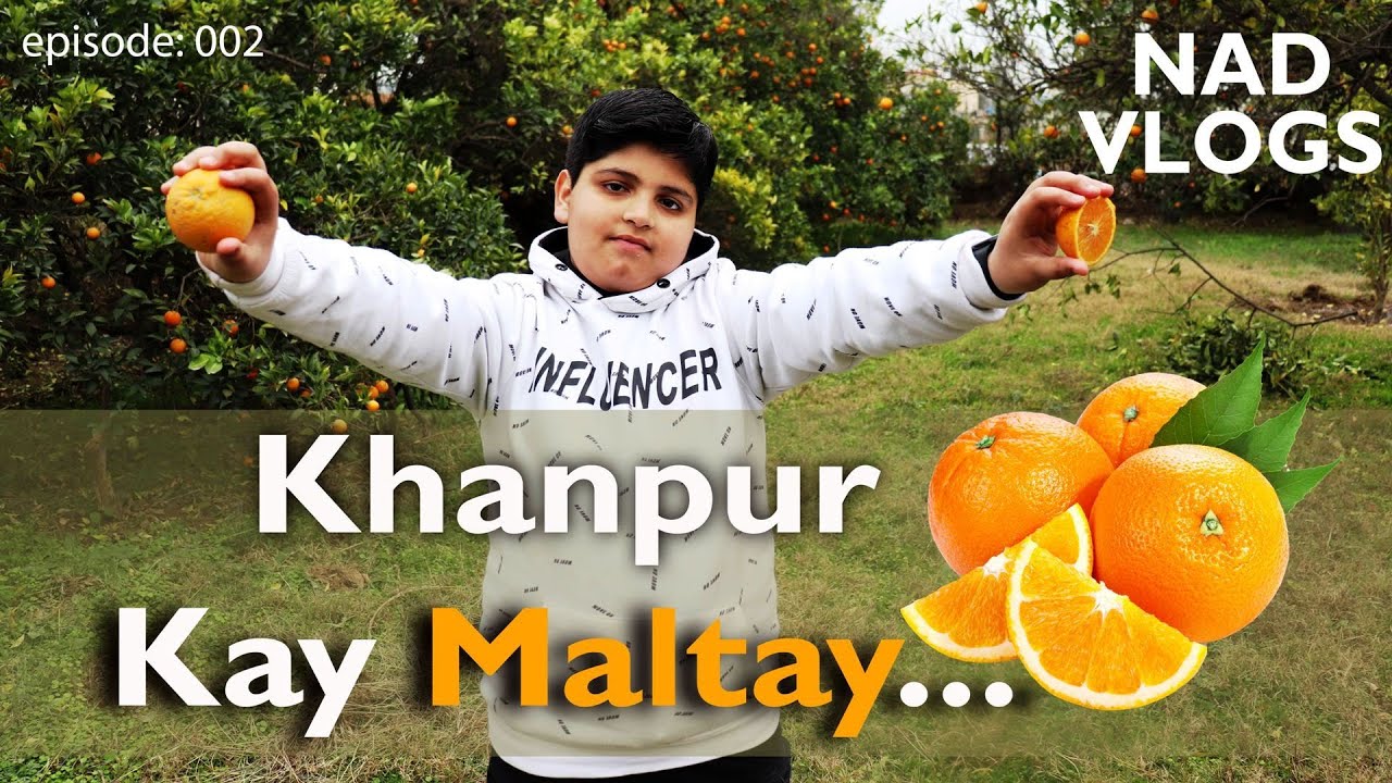 Khanpur Kay Maltay || Red Blood Orange Khanpur | Best Malta of Pakistan | Best Khanpur Red Oranges