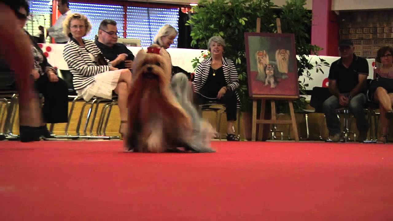 NE2014 -  Highlights